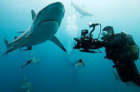 underwater Hilaire Brosio